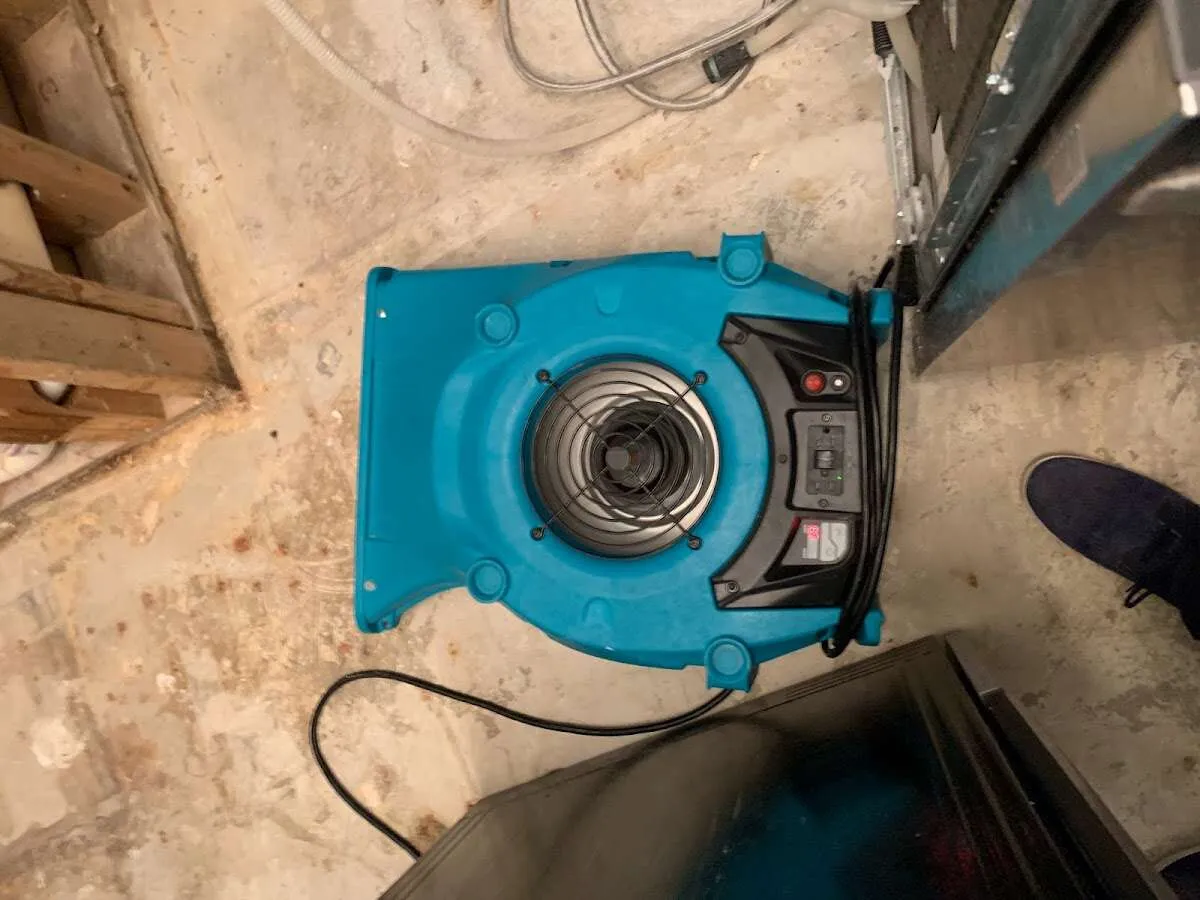Air mover drying equipment for Mold Remediation & Removal in Rockwall